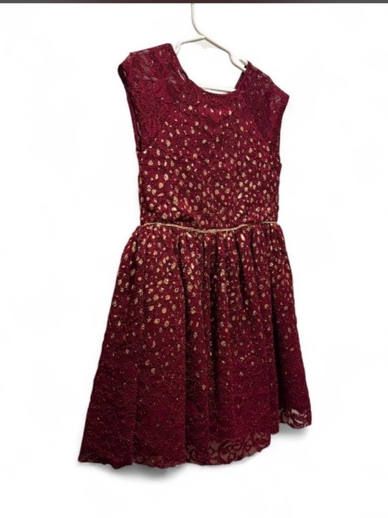 marmellata Burgundy Lace Dress with Gold Dot Accents - Picture 2 of 6